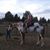 Lori Schaffer Hutchinson's profile image