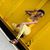 Raven Quentice Jones's profile image