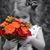 Maria Montoya's profile image
