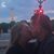 Heather Lanham Fox's profile image