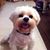 Rachel Weeden's profile image