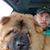 Mark Janes's profile image