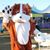 Mike Miller's profile image