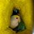 Rose Marie B. Silva's profile image