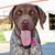 Kathy Alexander's profile image