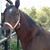 Paula Hutton's profile image