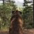 Sean Jarboe's profile image
