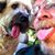 Paul Witte's profile image