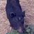 Eric Isenberg's profile image