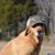 Sharon Smith Stone's profile image