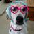 Cindy Futch's profile image