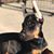 Deborah Schlitz Figueroa's profile image