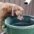 Carol Kothera's profile image