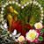 Jenifer Brown's profile image