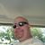 Rob Wilkerson's profile image