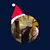 Cherry Bark's profile image