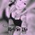 Angela Evans's profile image