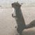 Kenny Sipe's profile image