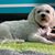 Denise Stone-Byrd's profile image