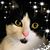 Catherine Gille Forde's profile image