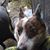 Connie Nowak's profile image