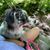 Shannon Sisco Miller's profile image