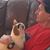 Misha Andropov's profile image
