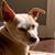 Jerilyn Sawyer's profile image