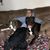 Alek Tietz-Bowen's profile image