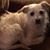 Vikki Mills's profile image