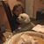 Ella Y Jose Hurtado's profile image