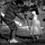 Panda Love Jennie's profile image