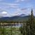 Denise Juif-Pomerleau's profile image