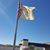 Jackie Lapp's profile image
