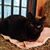 Aimee Schmitt's profile image
