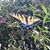JoAnne Genereux's profile image