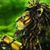 Jai Walk's profile image
