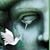 Kathy Grooms's profile image