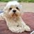 Rosy Romero's profile image