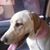 Omar Chinchilla's profile image