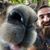 Daniel Bacchi's profile image