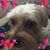 Nancy Palluck's profile image
