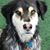 Karen Patton's profile image