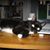 Bonnie Wagner's profile image