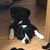 Bonnie DeLorme's profile image