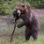 Stephen Miles Ellis's profile image