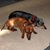 Bill Quillin's profile image
