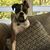 Sharon Cline's profile image