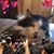 Marcella D. Signal's profile image