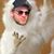 Kolya Guy's profile image